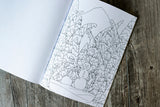 Christmas in the Mountains Coloring Book