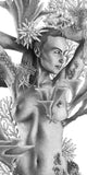 Siren of the Sea Original